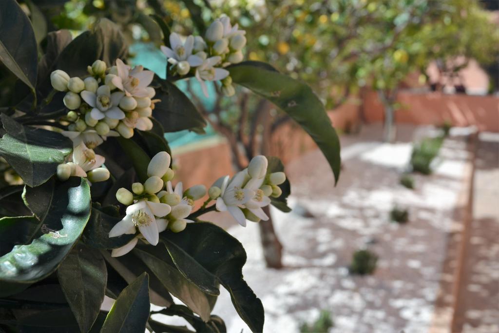 Casa Vacanze Mura Cala Gonone Luaran gambar